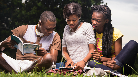 Three students studying on the lawn