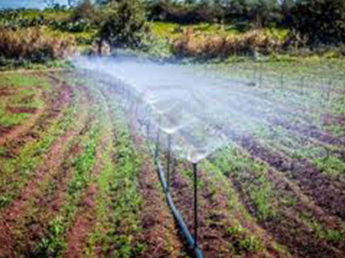 Irrigation farm Irrigation farm