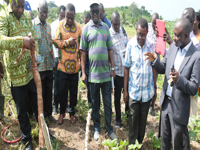 Inspection of the proposed cassava 
