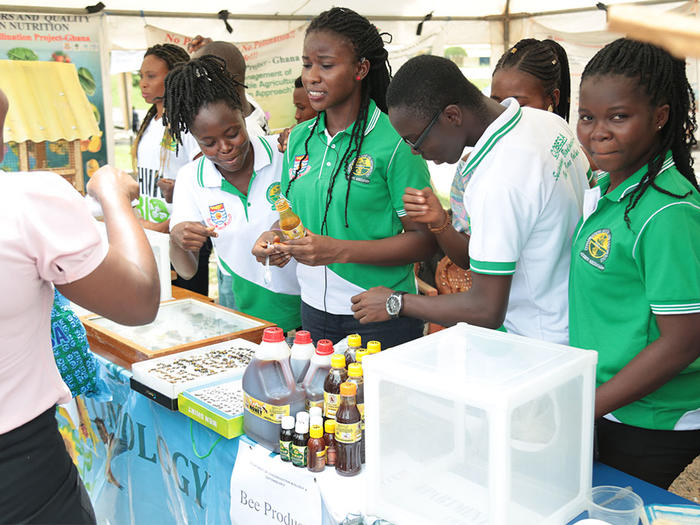 Display of by some students of Entomology and Conservation Biology