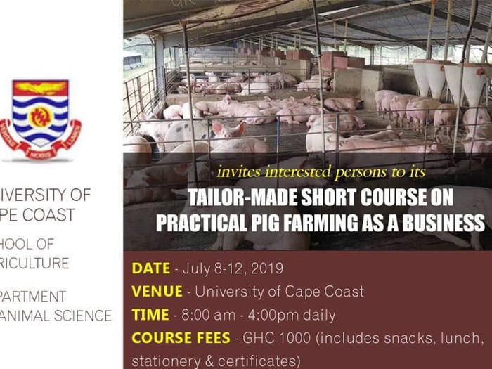 Pig farming workshop Pig farming workshop