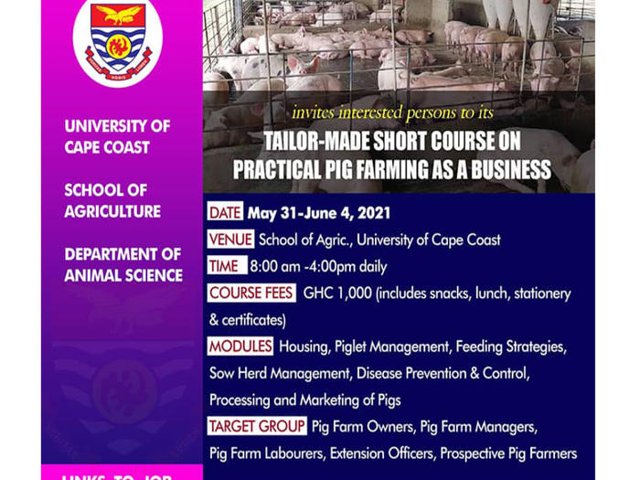 Tailor Made Short Course On Practical Pig Farming As A Business 